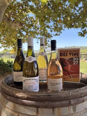 Guide Hachette des Vins 2027 : quatre cuv�es du Domaine du Paternel distingu�es